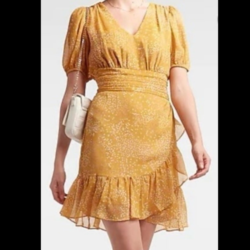 Express Dress L NWT